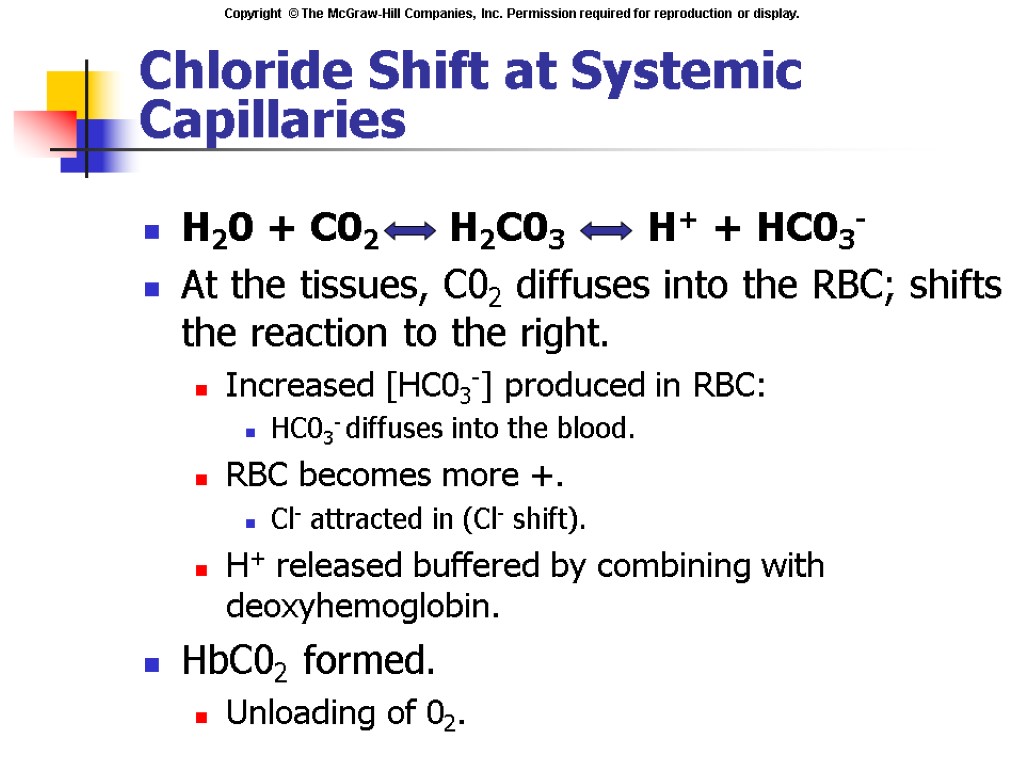 Chloride Shift at Systemic Capillaries H20 + C02 H2C03 H+ + HC03- At the